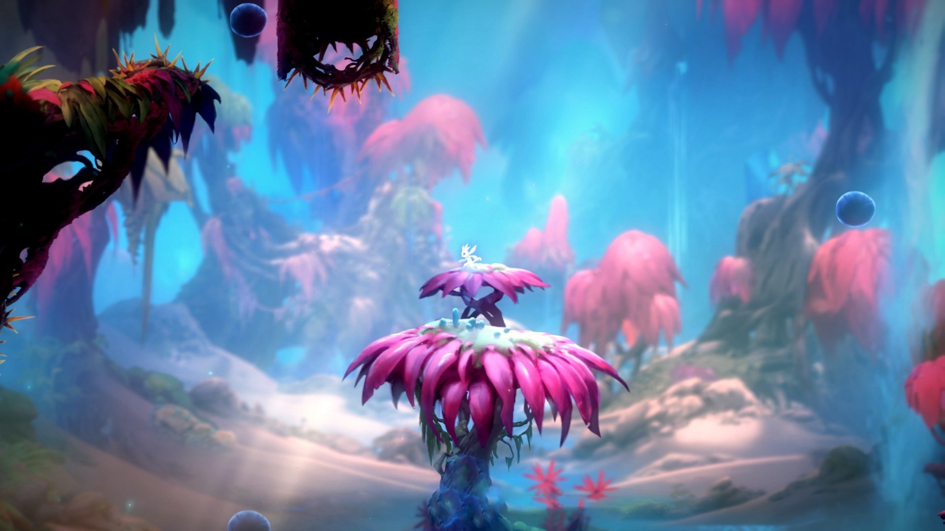 AYX体育-_公牛以韧性取胜，终结连败_，公牛对手