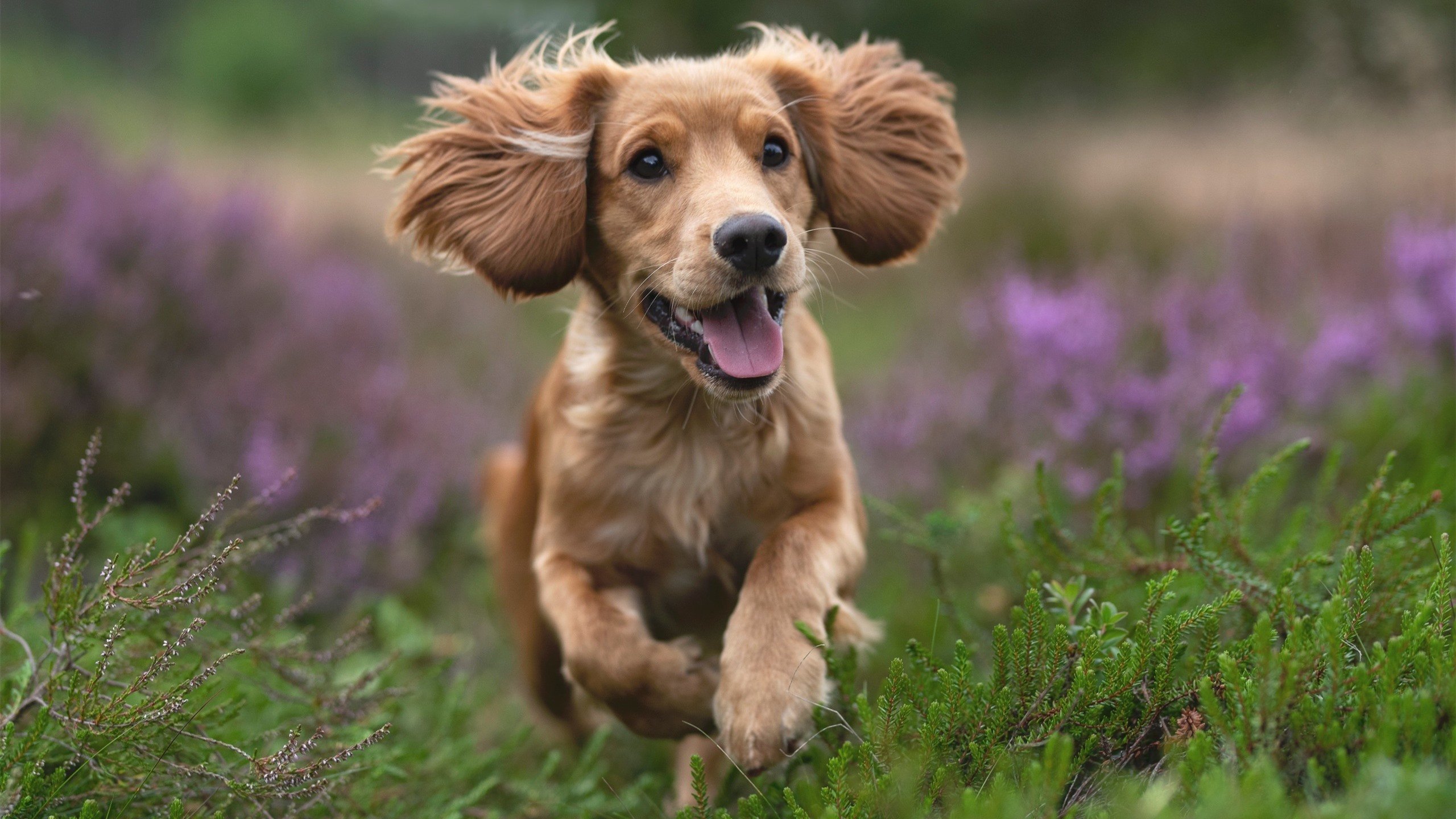 _水上漂流全景体验:刺激好玩,夏日必备_,水上漂旅游