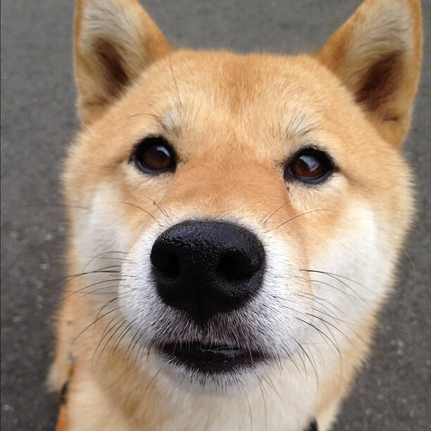 《2025英雄联盟全球总决赛,冠军争夺进入白热化》,英雄联盟2020全球总决赛开幕