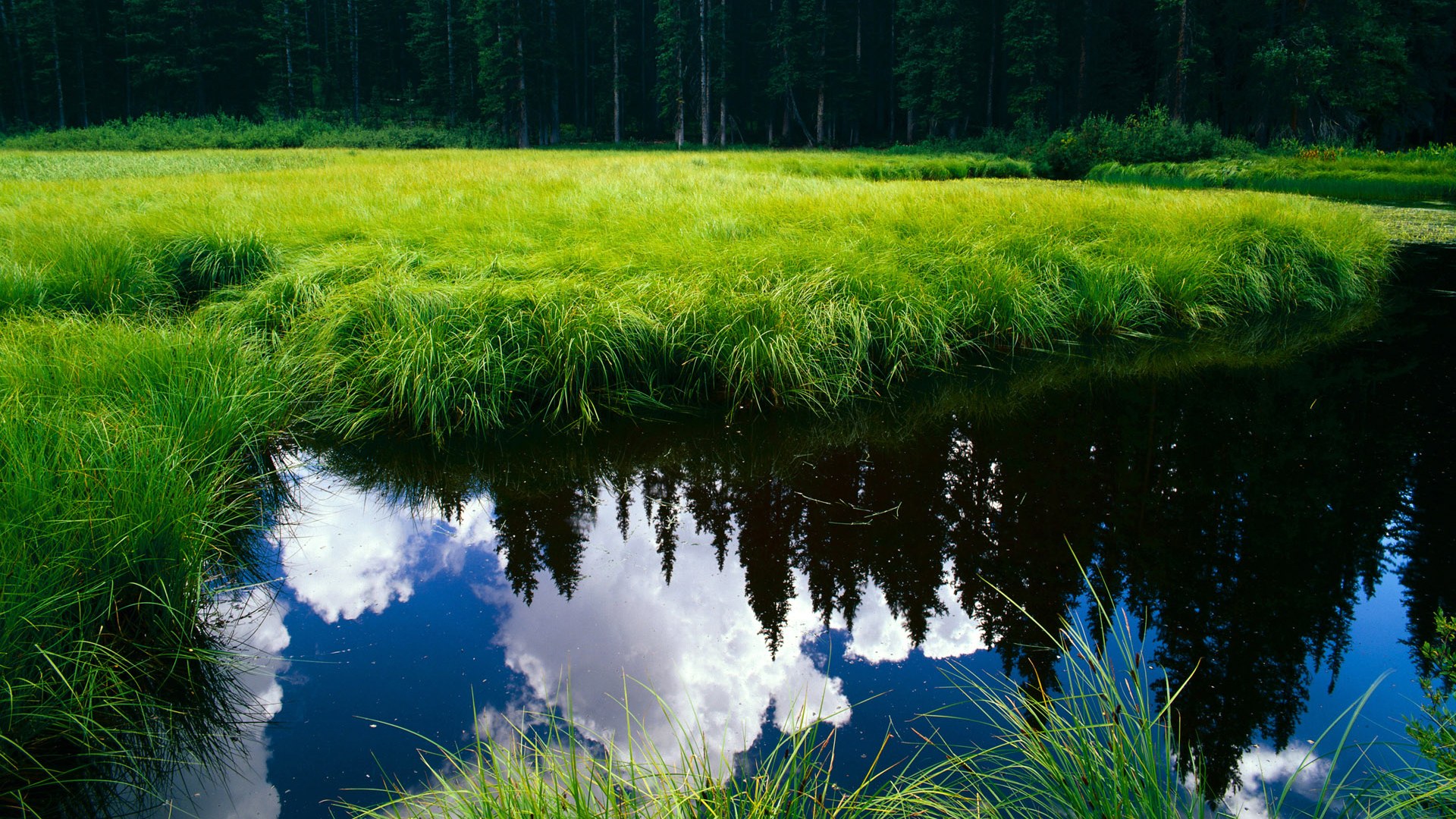 AYX GAME-【比赛状况】顶级运动员怎样调整战术应对突发变化？，运动员战术能力